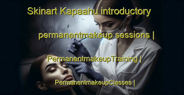 Skinart Kapaahu introductory permanentmakeup sessions | PermanentmakeupTraining | PermanentmakeupClasses | SkinartTraining-United States